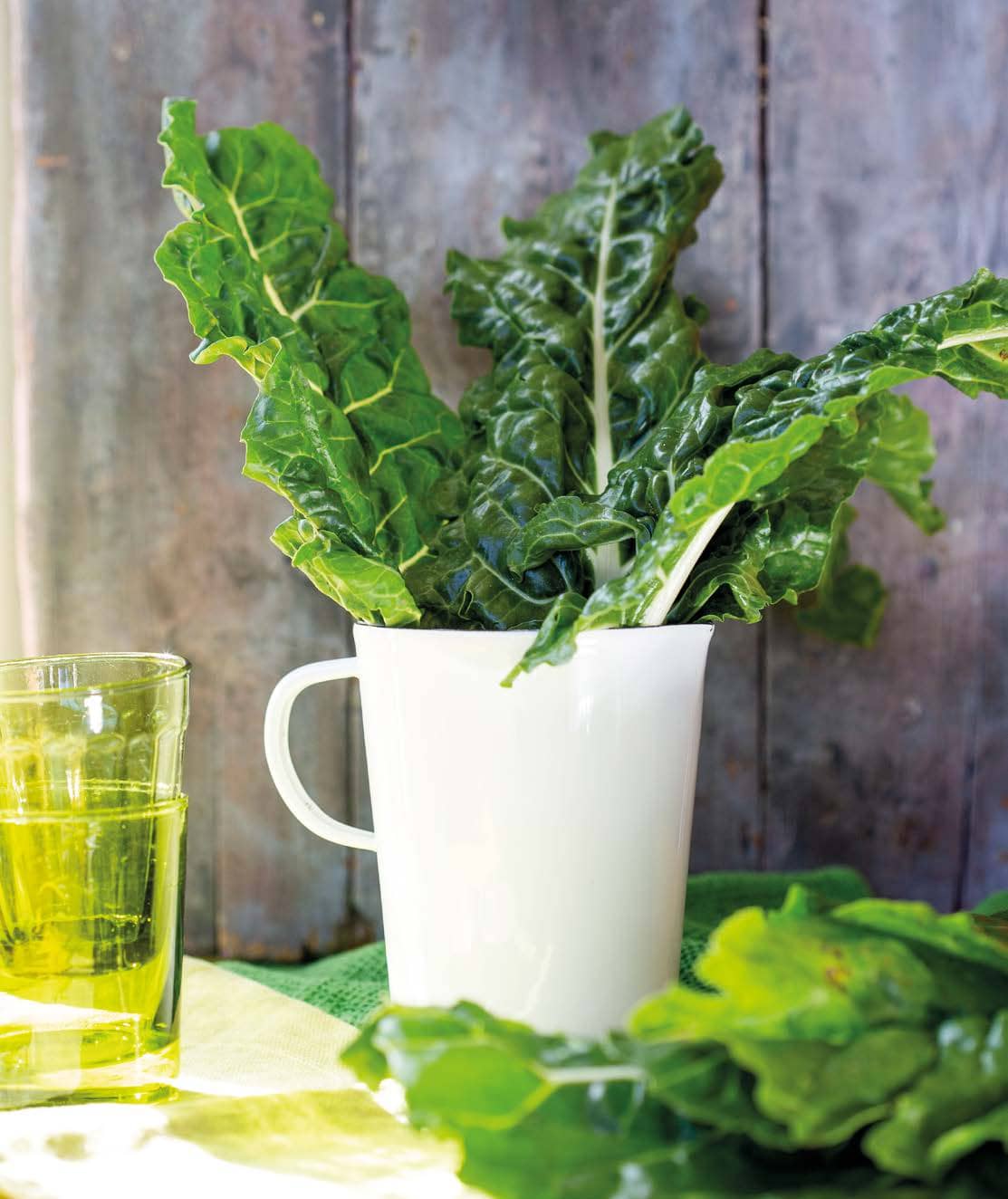 Best Idea: Swiss Chard