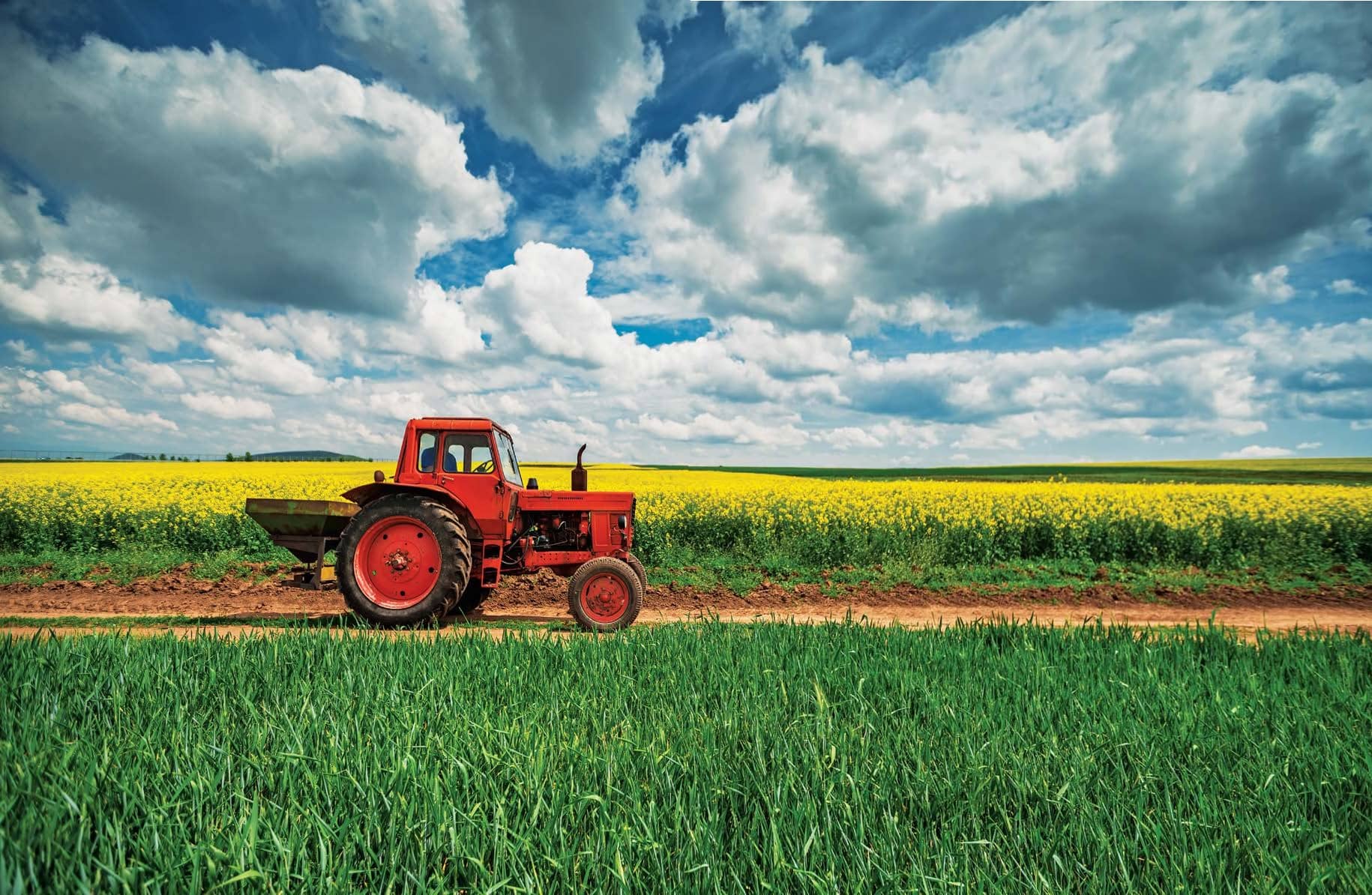 Growing For The Future: The Agriculture Industry