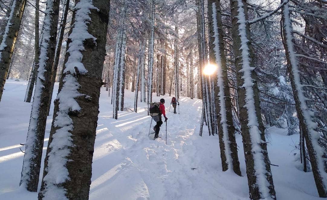 Warm Up to Winter