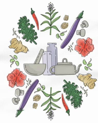 THE Qi OF FOOD
