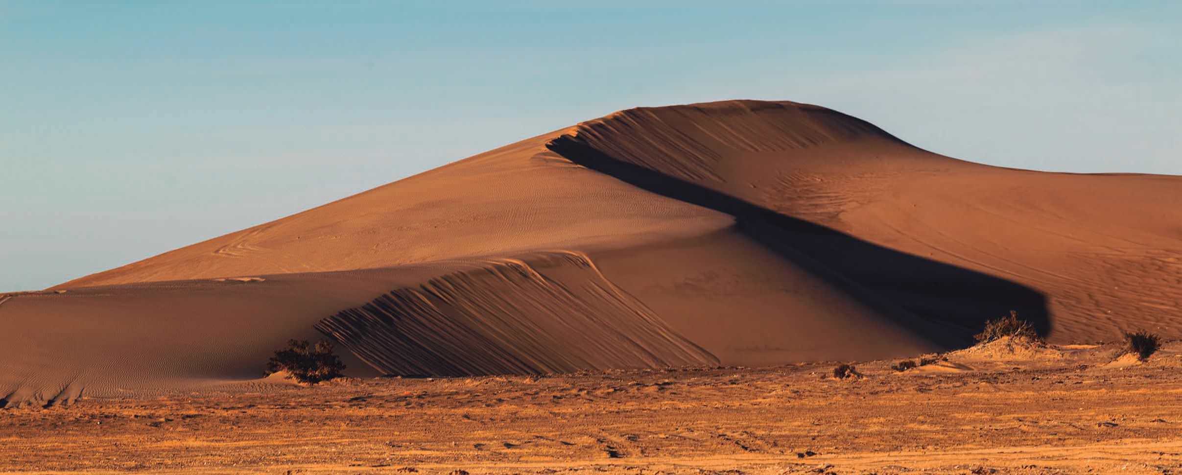 Viaje por la naci&oacute;n Tohono O'odham