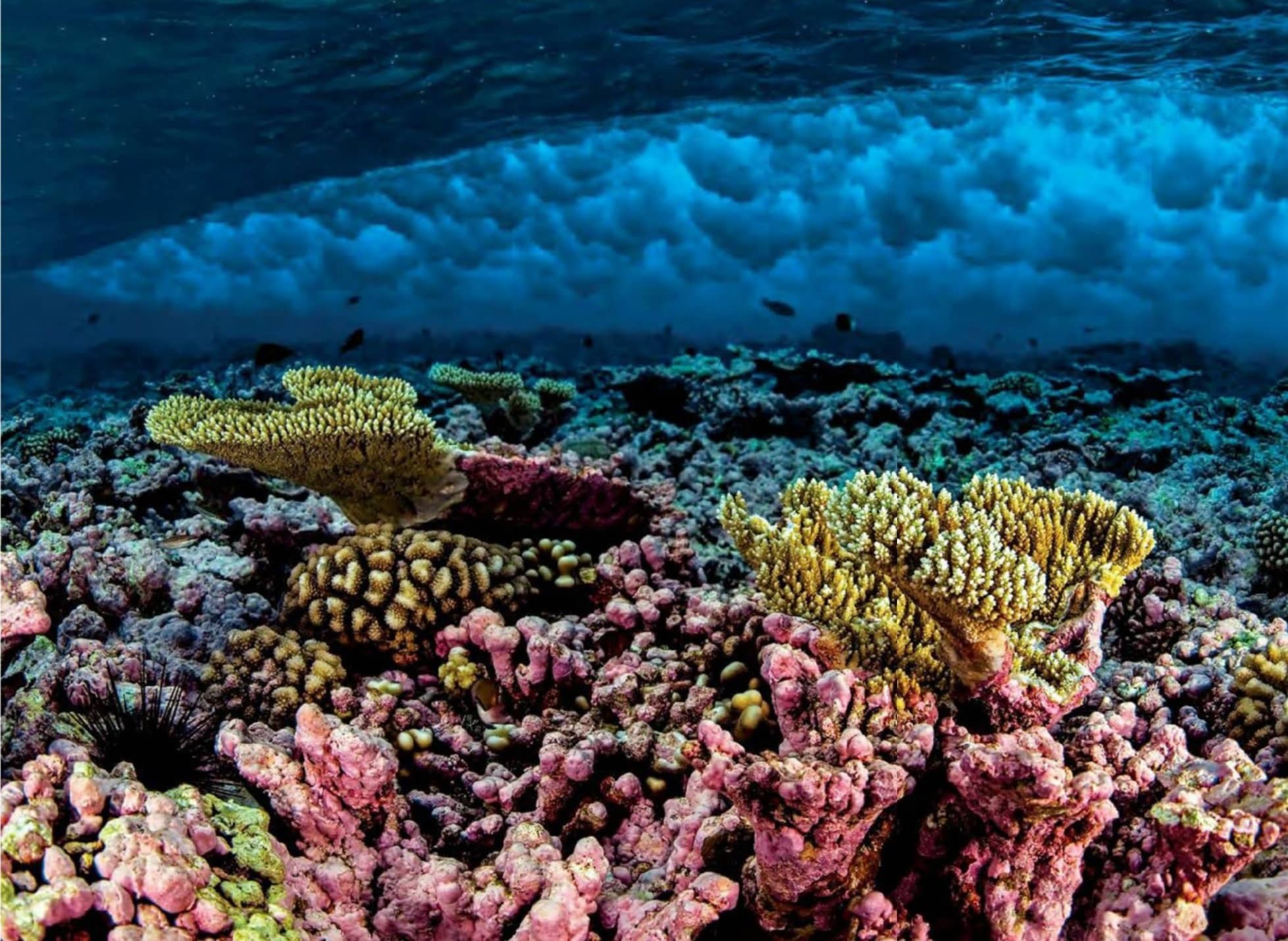 The Cost Of Harming Nature