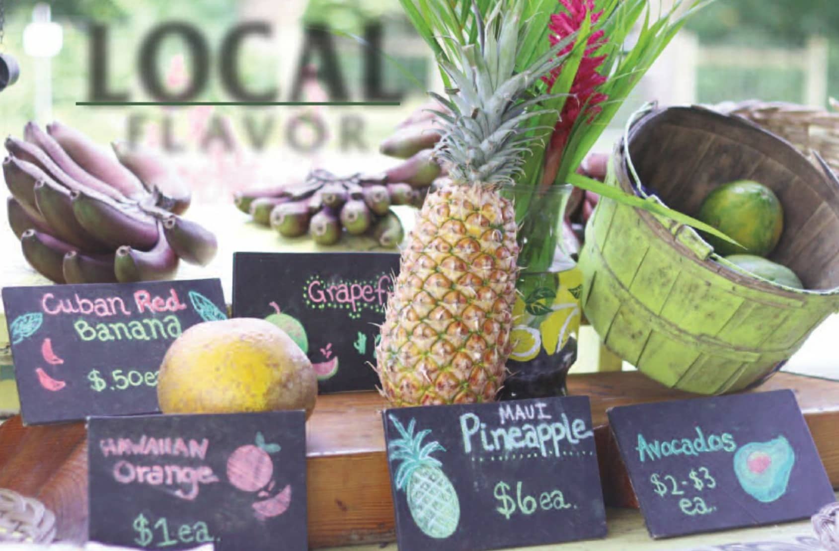 Local Flavor Promo Code 2024 Joela Mabelle