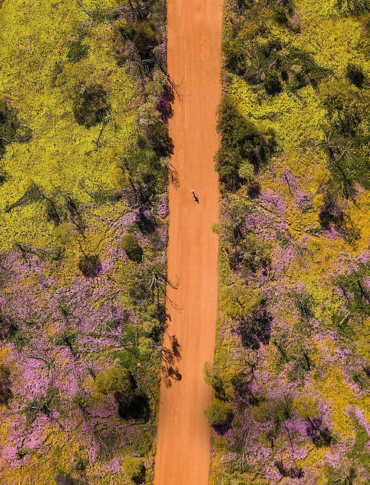 Thrill of the wildflower chase