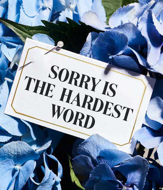 sorry-is-the-hardest-word