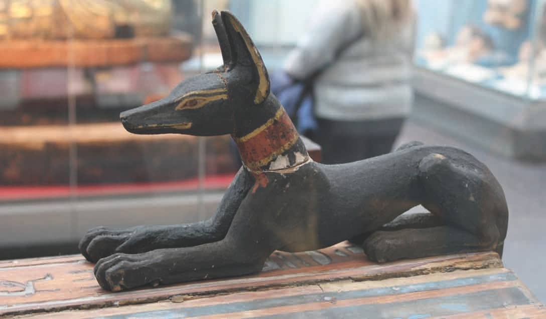 ANUBIS &ndash; JACKAL, WOLF, DOG, FOX OR HYENA?