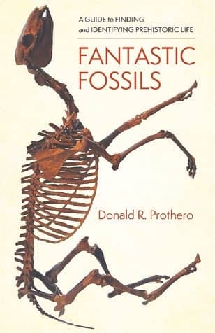 Mesozoic Media