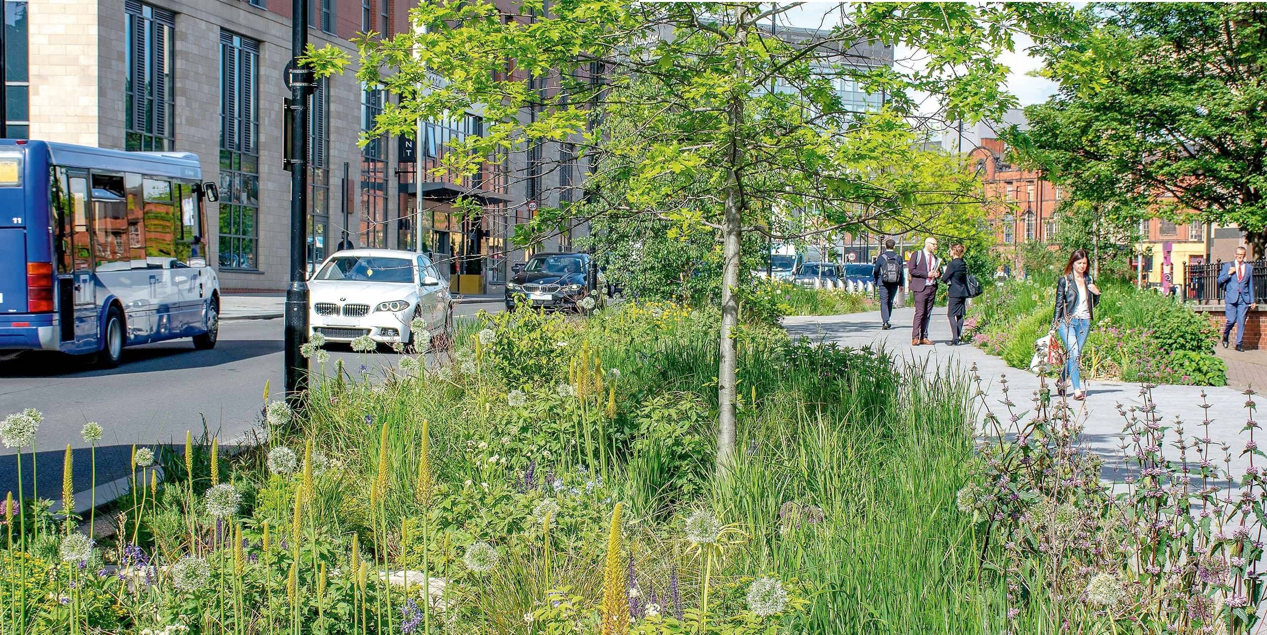 Planting For Fresh Air