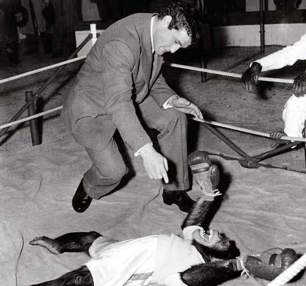 The Barton Mystery