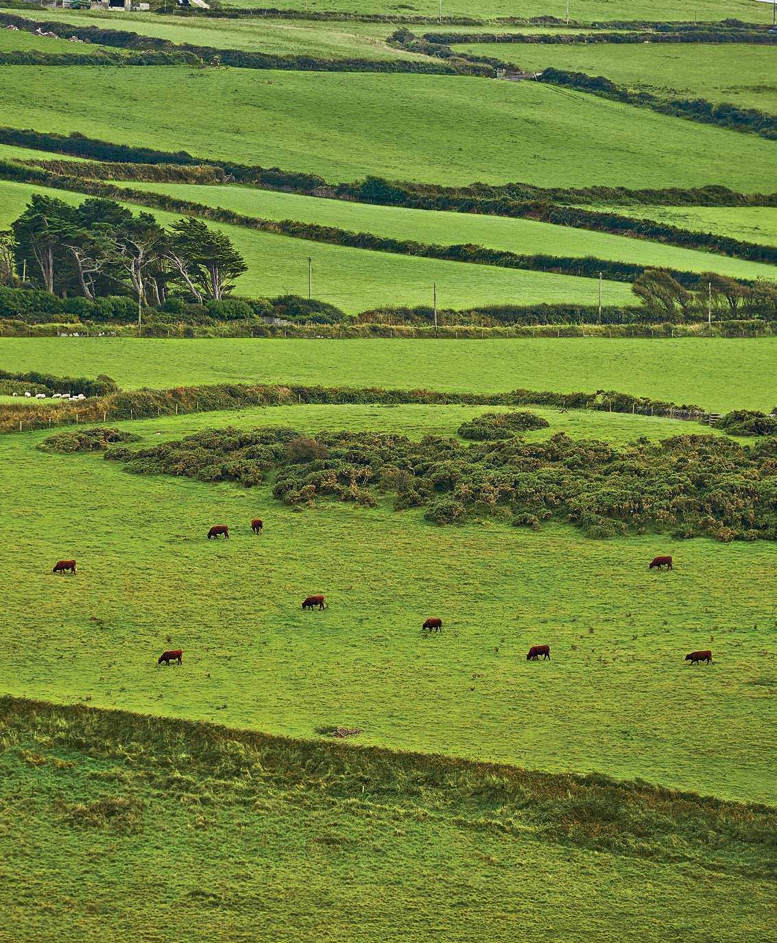 Cornwall, Where Old Traditions Are Giving Way To Something New