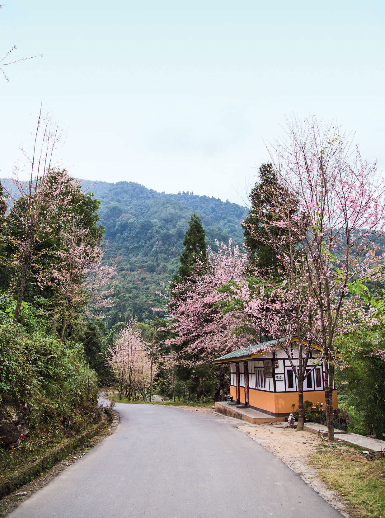 In The Shadow&nbsp;Of The&nbsp;Kanchenjunga