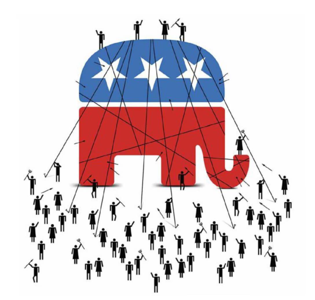 Too Much Democracy