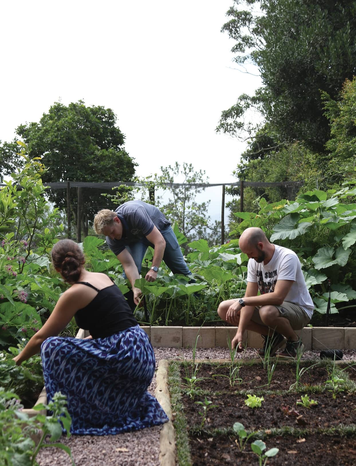 Gardening For Good Health