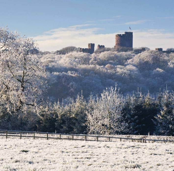 The obligatory BOXING DAY WALK 